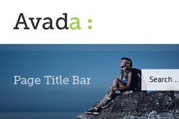 Avada Page Title Bar
